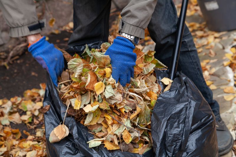 Raking and Gathering Leaves